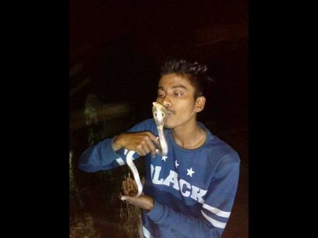 ಹಾವಿಗೆ ಕಿಸ್ ನೀಡಲು ಹೋಗಿ ಸಾವು ತಂದುಕೊಂಡ