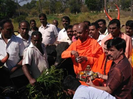ಮೈಸೂರು: 74 ಗೋವುಗಳಿಗೆ ಪೂಜೆ ಮಾಡಿ ಬಿಎಸ್‍ವೈ ಹುಟ್ಟು ಹಬ್ಬ ಆಚರಣೆ