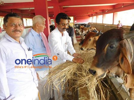 ಪಜೀರಿನ ಗೋವನಿತಾಶ್ರಮದಲ್ಲಿ ಬಿಎಸ್ ವೈ 74ನೇ ಹುಟ್ಟ ಹಬ್ಬ ಆಚರಣೆ