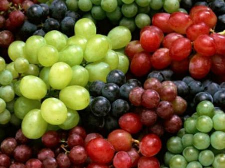 ಬೇಸಿಗೆಯ ತಾಪ ತಣಿಸಲು ಬೆಂಗಳೂರಿನಲ್ಲಿ ಕಲ್ಲಂಗಡಿ ,ದಾಕ್ಷಿ ಮೇಳ