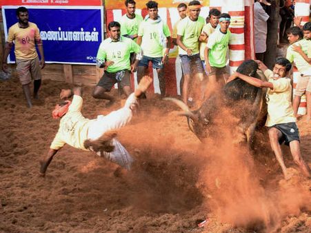 ಜಲ್ಲಿಕಟ್ಟು : 7 ಜನರ ಬದುಕಿನ ಆಟ ನಿಲ್ಲಿಸಿದ ಕರಾಳ ಭಾನುವಾರ