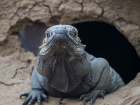 ಚಿತ್ರ ಸುದ್ದಿ: ರಾಜಕೀಯ ಹೊರತುಪಡಿಸಿದ ಪ್ರಸಂಗಗಳ ಝಲಕ್