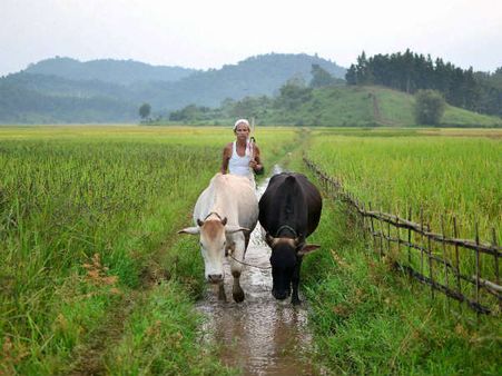 ಹುಬ್ಬಳ್ಳಿ: ದಯಾ ಮರಣ ಕೋರಿ 500 ರೈತರಿಂದ ರಾಷ್ಟ್ರಪತಿಗೆ ಅರ್ಜಿ