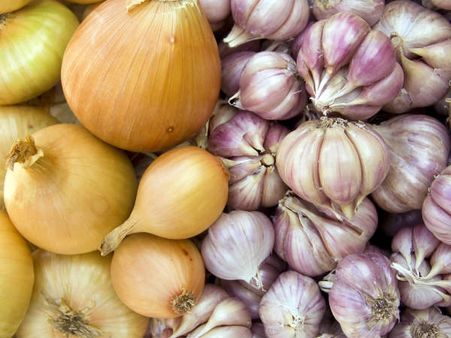 ‘ಇಂದಿರಾ ಕ್ಯಾಂಟೀನ್’ಗೆ ಈರುಳ್ಳಿ-ಬೆಳ್ಳುಳ್ಳಿ ಸಂಕಟ