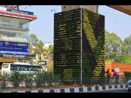 ಕಂಬದ ಮೇಲೊಂದು ಗಿಡವ ನೆಟ್ಟು.. ಏನಿದು 'ವರ್ಟಿಕಲ್ ಗಾರ್ಡನ್'?