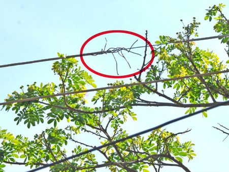 ಅಪಾಯಕ್ಕೆ ಆಹ್ವಾನ ಈ ವಿದ್ಯುತ್ ತಂತಿ!