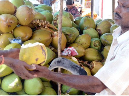 ಮಂಗಳೂರು: ಬಾಯಾರಿಕೆ ತಣಿಸುವ ಎಳನೀರೇ ಬಿಸಿಲಿಗೆ ಮಾಯ!!