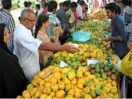 ಕದ್ರಿಯಲ್ಲಿ ಮೇ 19 -25 ರವರೆಗೆ ಮಾವು ಮತ್ತು ಹಲಸು ಮೇಳ