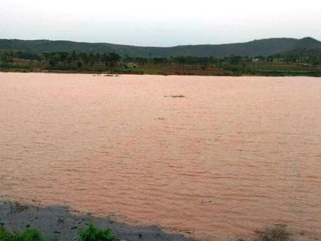 ಗುಂಡ್ಲುಪೇಟೆ: ಬರಿದಾದ ಕೆರೆಗಳಲ್ಲೀಗ ಜೀವಜಲ