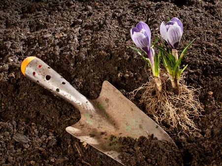 ಮಗಳು ಬರೆದ ಲೇಖನ ಓದಿ ಅಪ್ಪನ ಕಣ್ಣಲ್ಲಿ ಅಶ್ರುಧಾರೆ!