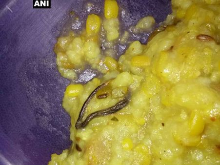 ಹರಿಯಾಣದ ಶಾಲೆಯ ಮಧ್ಯಾಹ್ನದ ಊಟದಲ್ಲಿ ಮರಿಹಾವು