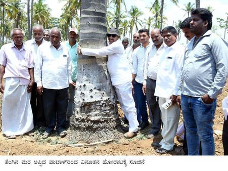 ಚಾಮರಾಜನಗರದಲ್ಲಿ ವಾಟಾಳ್ ನಾಗರಾಜ್ ತೆಂಗಿನ ಮರ ಅಪ್ಪಿದ್ದೇಕೆ?