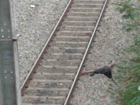ದೀಪಾಂಜಲಿ ನಗರದ ರೈಲ್ವೆ ಹಳಿ ಮೇಲೆ ತುಂಡಾದ ಶವ ಪತ್ತೆ