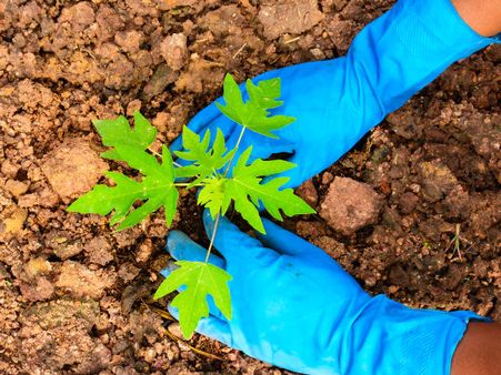 ಗಿಡ ನೆಡುವ ಸೆಲ್ಫಿ ಕಳಿಸಿ, ರೋಚಕ ಬಹುಮಾನ ಗೆಲ್ಲಿರಿ!