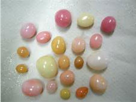 ಶಂಖ ಮುತ್ತು ಎಂಬ ವಿಶಿಷ್ಟ ರತ್ನ, ಅದರ ಧಾರಣೆಯ ಅನುಕೂಲಗಳು