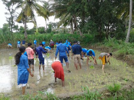 ಮಂಡ್ಯದಲ್ಲಿ 'ಬೆವರುದಾನ' ಮಾಡಿದ ಇಂಟೆಲ್ ಟೆಕ್ಕಿಗಳು!