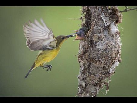 ವಿಶ್ವ ಛಾಯಾಚಿತ್ರ ದಿನ: ಮನಸೆಳೆವ ಆ 10 ಚಿತ್ರಗಳು