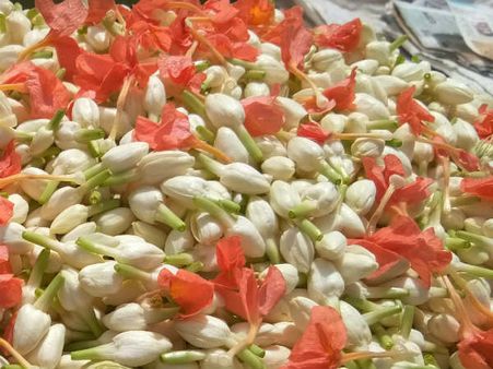 ಶೃಂಗಾರ ಭಾವದ ಮಾಲೆ ಕಟ್ಟಿದ ಮಲ್ಲಿಗೆ, ಹಿತ ಚೆಲ್ಲುವ ಬೆಳದಿಂಗಳು