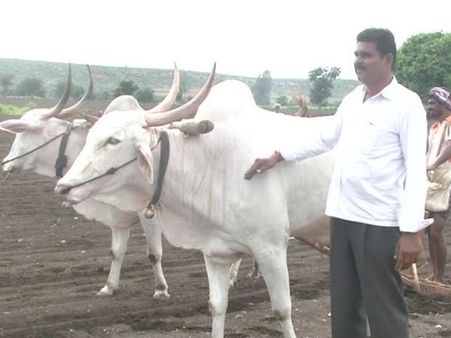 20 ಎಕರೆ ಜಮೀನು ಏಕಕಾಲಕ್ಕೆ ಬಿತ್ತಿದ ಬಲರಾಮರು..!