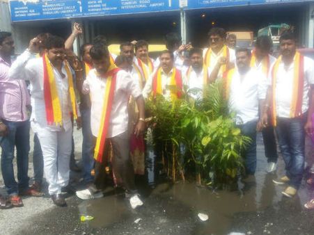 ನಾಯಂಡಹಳ್ಳಿ ರಸ್ತೆಯ ಗುಂಡಿ ಮುಚ್ಚಲು ಗಿಡನೆಟ್ಟರು!