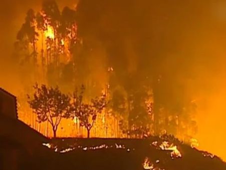 ಪೋರ್ಚುಗಲ್, ಸ್ಪೇನ್ ನಲ್ಲಿ ಕಾಡ್ಗಿಚ್ಚಿಗೆ ಹಸುಳೆ ಸೇರಿ 32 ಮಂದಿ ಬಲಿ