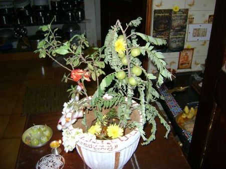 ಉತ್ಥಾನ ದ್ವಾದಶಿ: ತುಳಸಿ ಮದುವೆಯ ಆಚರಣೆ ಏಕೆ? ಹೇಗೆ?