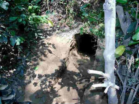 ಜಮ್ಮು ಕಾಶ್ಮೀರದಲ್ಲಿ ಉಗ್ರರು ಬಳಸುತ್ತಿದ್ದ ಸುರಂಗ ಪತ್ತೆ