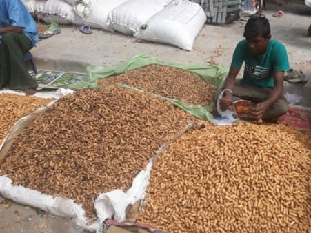 ಕಡಲೆಕಾಯಿ ಪರಿಷೆ! ಶ್ರದ್ಧೆ ಸಂಭ್ರಮದ ಜಾತ್ರೆ