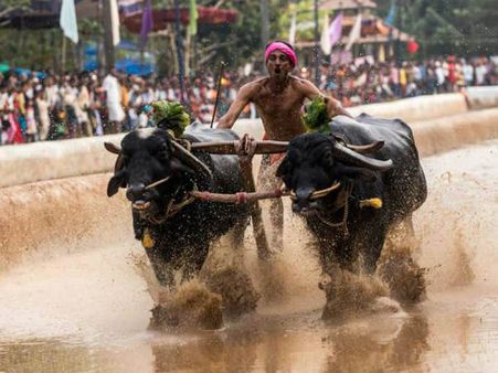 ಮೂಡಬಿದಿರೆಯಲ್ಲಿ ವಿಜಯೋತ್ಸವ ಕಂಬಳಕ್ಕೆ ಹರಿದು ಬಂದ ಜನಸಾಗರ