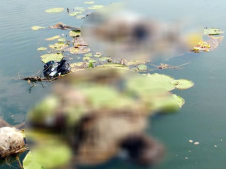 ಮೈಸೂರು: ಒಂದು ಶವ ಹುಡುಕುತ್ತಿದ್ದರೆ, ಸಿಕ್ಕಿದ್ದು ಮೂರು ಶವ!