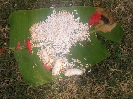 ನಿಧಿಗಾಗಿ ಬಾಲಕನ ಬಲಿ ನೀಡಲು ಮುಂದಾದವರ ವಿಚಾರಣೆ ರಹಸ್ಯ ಸ್ಥಳದಲ್ಲಿ