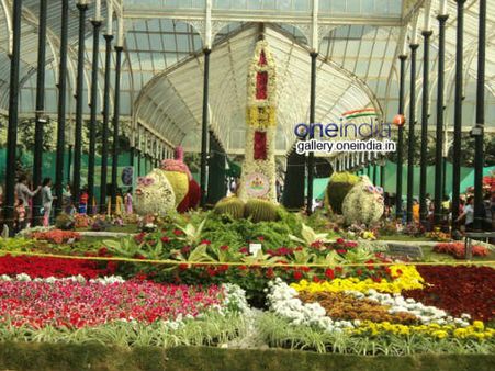 ಗಿನ್ನಿಸ್ ದಾಖಲೆಗಾಗಿ ಮರಗಳ ಅಪ್ಪಿಕೋ ಕಾರ್ಯಕ್ರಮ