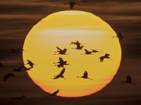 ಸೂರ್ಯ ನಿಮಗೆಷ್ಟು ಗೊತ್ತು? ಚೆಂದದ ಚಿತ್ರದ ಜೊತೆ ಕುತೂಹಲದ ಸಂಗತಿ