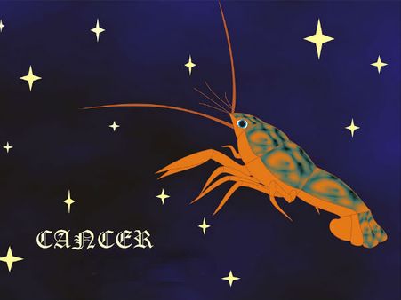 ಚಂದ್ರಗ್ರಹಣ ನಡೆಯಲಿರುವ ಆಶ್ಲೇಷಾ ನಕ್ಷತ್ರ ಬಗ್ಗೆ ನಿಮಗೆಷ್ಟು ಗೊತ್ತು?