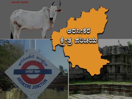 ಅರಸೀಕೆರೆ: ಹೊಯ್ಸಳ ಕಾಲದ ವೈವಿಧ್ಯಮಯ ಕ್ಷೇತ್ರ