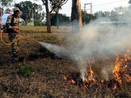 ಚಾಮರಾಜನಗರ: ಬಂಡೀಪುರ ಕಾಳ್ಗಿಚ್ಚು ತಡೆಗೆ ಬೆಂಕಿ ರೇಖೆ ನಿರ್ಮಾಣ