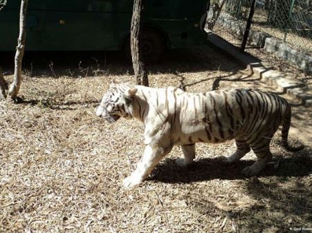 ಬನ್ನೇರುಘಟ್ಟ ಉದ್ಯಾನದ ಗೇಟ್ ಗಳಿಗೆ ಸೆನ್ಸರ್ ಅಳವಡಿಕೆ