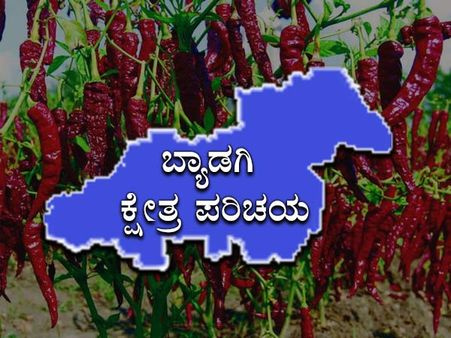 ಕ್ಷೇತ್ರ ಪರಿಚಯ : ಕೆಂಪು ಮೆಣಸಿನ ಕಾಯಿ ನಾಡಲ್ಲಿ ಯಾರಿಗೆ ಗೆಲುವು!