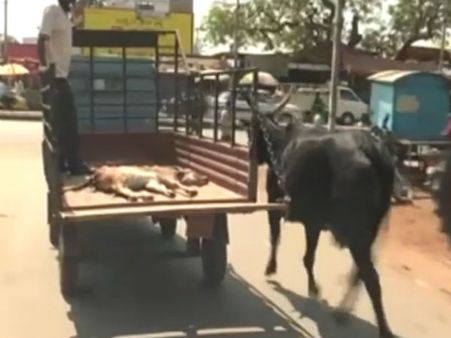 ಹಸು ಕರುವಿನ ಈ ಮನ ಕಲಕುವ ಕಥೆ ಓದಿ