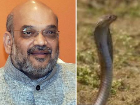 ಅಮಿತ್ ಶಾ ಇರುವಾಗ ಹೋಟೆಲ್ ನಲ್ಲಿ ಹಾವು ಕಂಡರೆ ಹೀಗೆ ಕಥೆ ಕಟ್ಟೋದಾ?