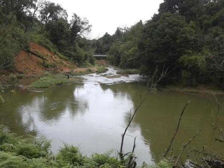 ಕರಾವಳಿಯಲ್ಲಿ ವಿಧಾನಸಭೆ ಚುನಾವಣೆ ಅಖಾಡಕ್ಕಿಳಿಯಲಿದೆ 'ಸಹ್ಯಾದ್ರಿ ಸಂಚಯ'