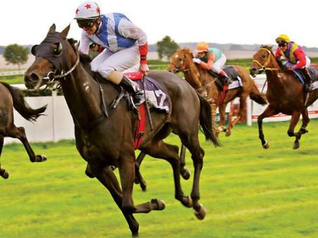 ಕುದುರೆಗೆ ಮಾದಕ ದ್ರವ್ಯ ಪ್ರಕರಣಕ್ಕೆ ತಡೆ ನೀಡಲು ಹೈಕೋರ್ಟ್ ನಕಾರ