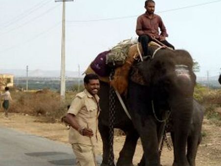 ಬಂಡೀಪುರದಿಂದ ರಾಂಪುರಕ್ಕೆ ಸಾಕಾನೆಗಳನ್ನು ಕಳುಹಿಸಿದ್ಯಾಕೆ?