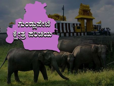 ಕ್ಷೇತ್ರ ಪರಿಚಯ: ಗುಂಡ್ಲುಪೇಟೆಯಲ್ಲಿ ದಿ. ಮಹದೇವ ಪ್ರಸಾದ್ ಕುಟುಂಬದ್ದೇ ರಾಜ್ಯಭಾರ