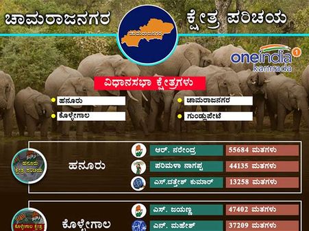 ಚಾಮರಾಜನಗರ: 2013ರ ಚುನಾವಣಾ ಫಲಿತಾಂಶದಲ್ಲಿ ಗೆದ್ದವರು, ಸೋತವರು