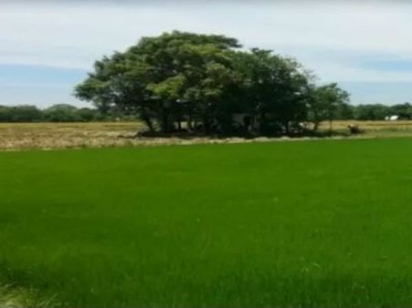 ನಿವೇಶನಗಳ ಸರ್ವೇ ನಂಬರ್, ನಕಾಶೆ ಮಾಹಿತಿಗೆ ದಿಶಾಂಕ್ ಆ್ಯಪ್‌