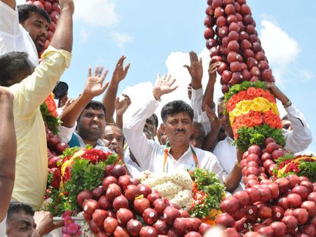 ಹೆಗಲೇರಿದ 350 ಕೆಜಿ ಸೇಬಿನ ಹಾರದಿಂದ ಸೇಬು ಕಿತ್ತು ತಿಂದ ಡಿಕೆಶಿ!
