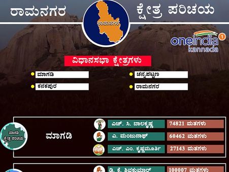 ರಾಮನಗರ: 2013ರ ಚುನಾವಣಾ ಫಲಿತಾಂಶದಲ್ಲಿ ಗೆದ್ದವರು, ಸೋತವರು