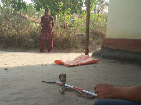 ಸ್ನೇಕ್ ಆರೀಫ್ ಮಾತು ಕೇಳಿ ಮೊಟ್ಟೆ ಹೊರತೆಗೆಯಿತೇ ಹಾವು?