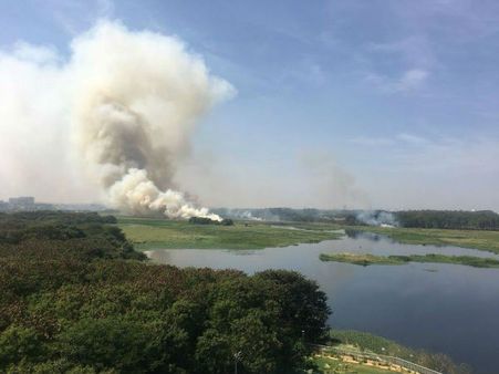 ಬೆಳ್ಳಂದೂರು ಕೆರೆ: ಸರ್ಕಾರದ ಮಾಹಿತಿ ಪರಿಶೀಲನೆಗೆ ಎನ್‌ಜಿಟಿ ಸಮಿತಿ